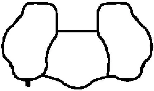 BGA Gasket, intake manifold (MG8537)