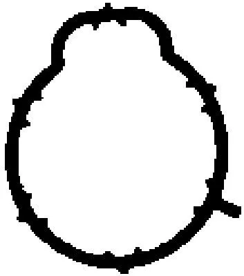 BGA Gasket, intake manifold (MG8541)
