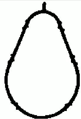 BGA Gasket, intake manifold (MG8560)