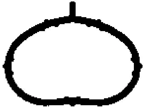 BGA Gasket, intake manifold (MG8582)