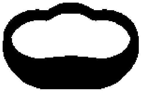 BGA Gasket, intake manifold (MG8589)