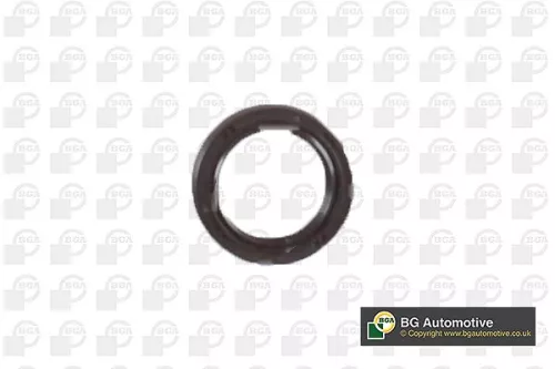 BGA Shaft Seal, camshaft (OS0319)