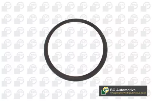 Shaft Seal, crankshaft
