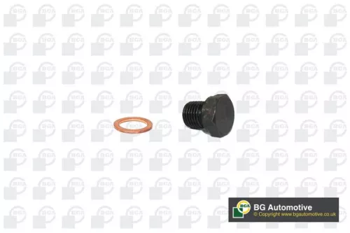 BGA Screw Plug, oil sump (PK0100)