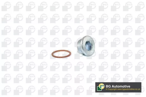 BGA Screw Plug, oil sump (PK1405)