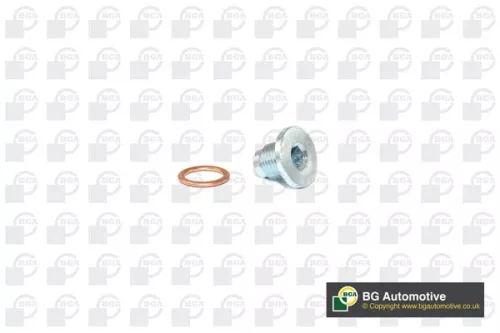 BGA Screw Plug, oil sump (PK1406)