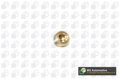 BGA Screw Plug, oil sump (PK2202)