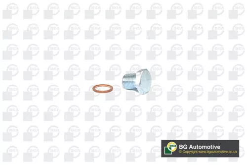 BGA Screw Plug, oil sump (PK2203)