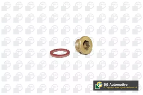 BGA Screw Plug, oil sump (PK2301)
