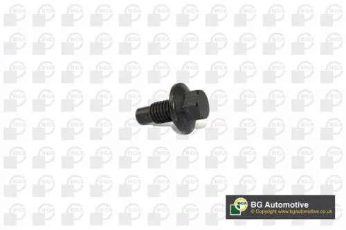BGA Screw Plug, oil sump (PK2304)