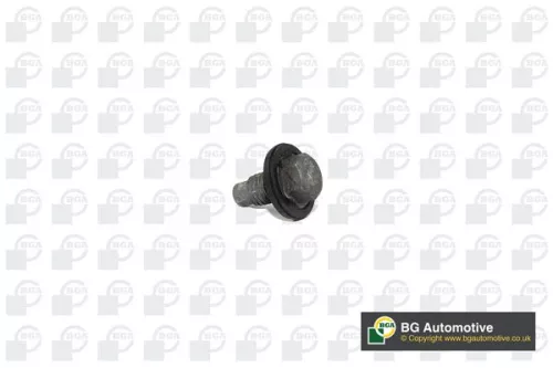 BGA Screw Plug, oil sump (PK2305)