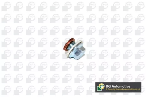 BGA Screw Plug, oil sump (PK6300)