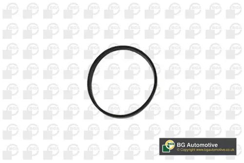 BGA Gasket, intake manifold (RW3399)