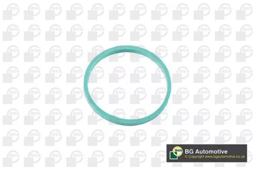 BGA Gasket, intake manifold (RW4353)