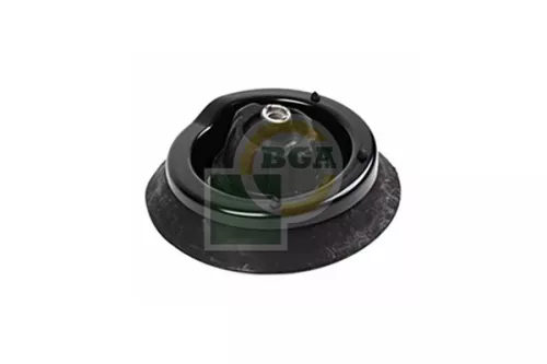 BGA Strut Mount Kit (SM5609)