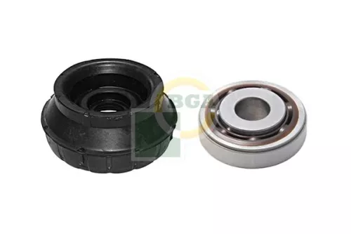 BGA Strut Mount Kit (SM7302)