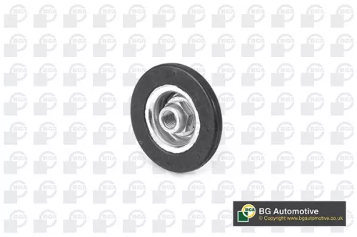 Strut Mount Kit