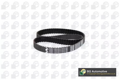 Timing Belt