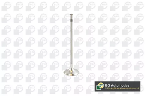 Intake Valve