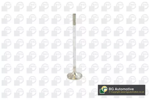 BGA Exhaust Valve (V016840)