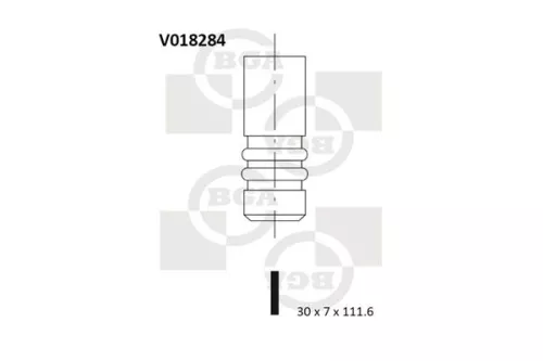 Exhaust Valve
