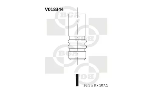 Intake Valve