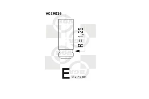Intake Valve