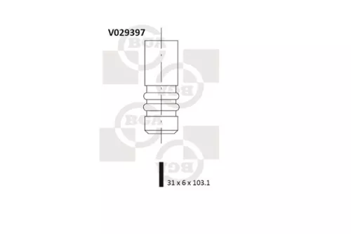 Intake Valve