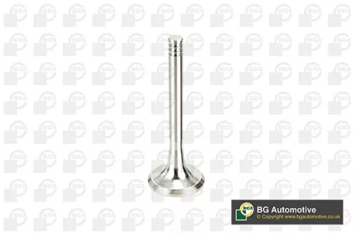 BGA Exhaust Valve (V033035)
