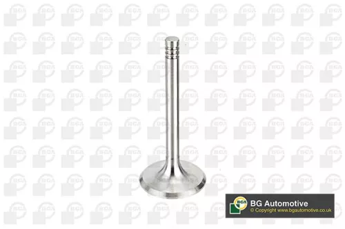 Intake Valve