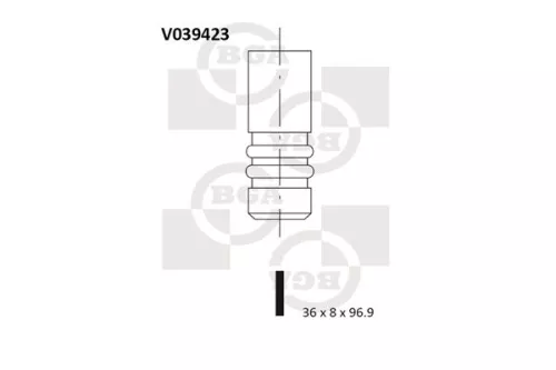 Intake Valve