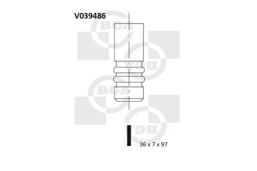 Intake Valve