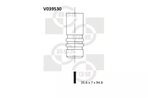 Intake Valve