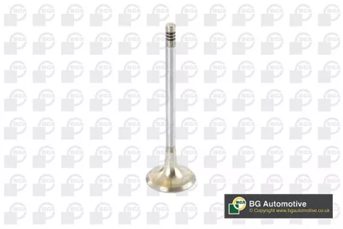 BGA Exhaust Valve (V090100)
