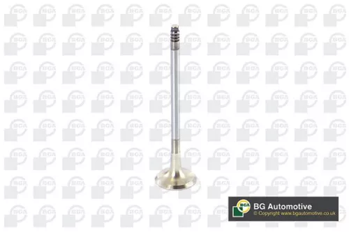 BGA Exhaust Valve (V090101)