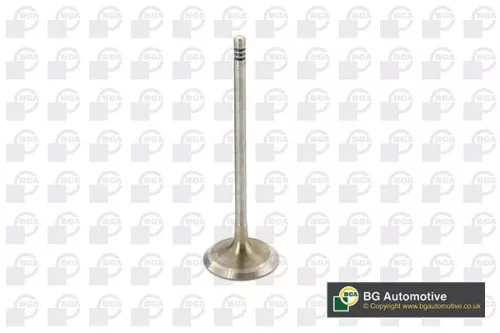 Intake Valve