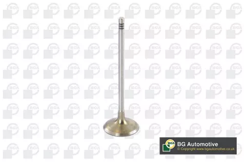 Intake Valve