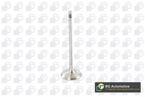 Intake Valve