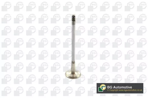 BGA Exhaust Valve (V090107)