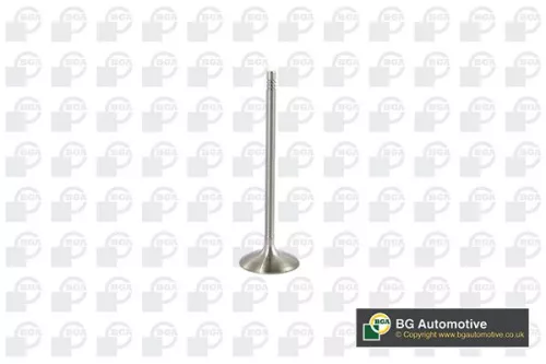 Intake Valve