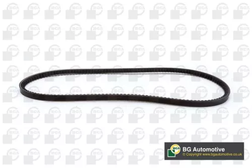 BGA V-Belt (V10X925)