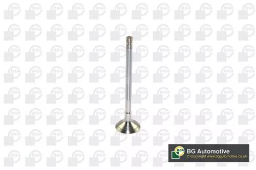 Exhaust Valve