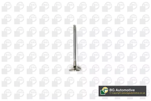 BGA Exhaust Valve (V141081)