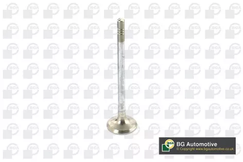 Exhaust Valve