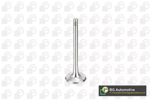 Intake Valve