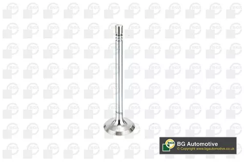 Intake Valve