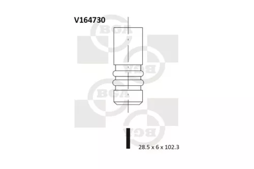 Intake Valve
