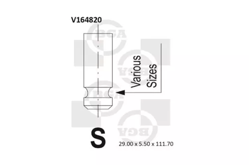Intake Valve