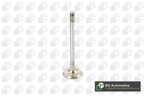 BGA Exhaust Valve (V164989)
