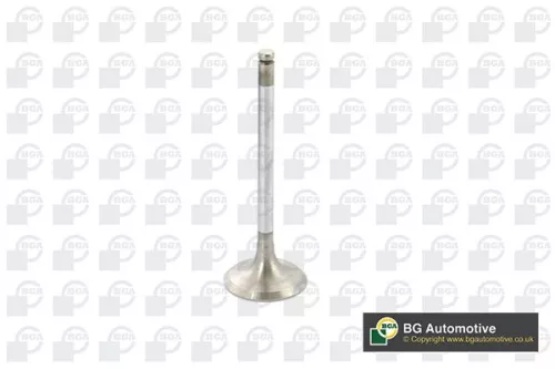 BGA BGA V164990 Intake Valve 